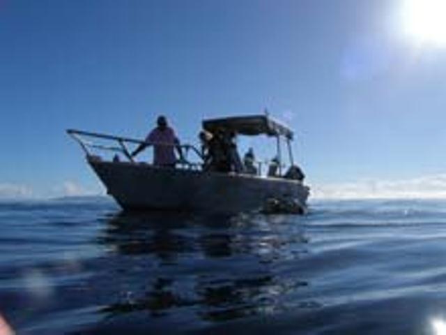 Dolphin Bay Divers Retreat Hotel Vatolotolo Exterior foto
